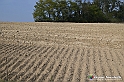 VBS_7690 - Andare lontano, oltre i campi da arare... e ancora più in là